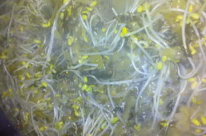 酸菜鱼放豆芽